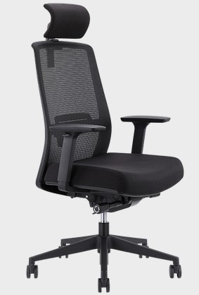 Jirra Ergonomic Chair